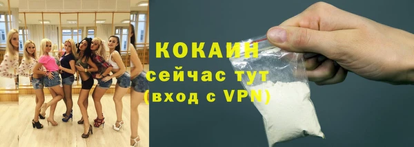 молекула духа Киреевск