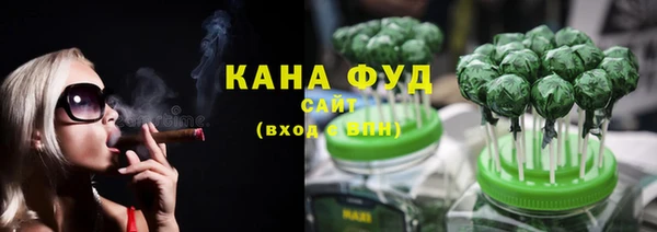 молекула духа Киреевск