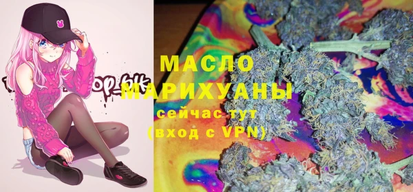 молекула духа Киреевск