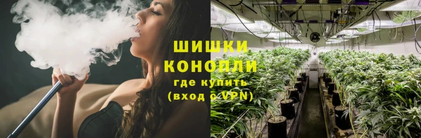 молекула духа Киреевск