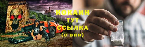 молекула духа Киреевск