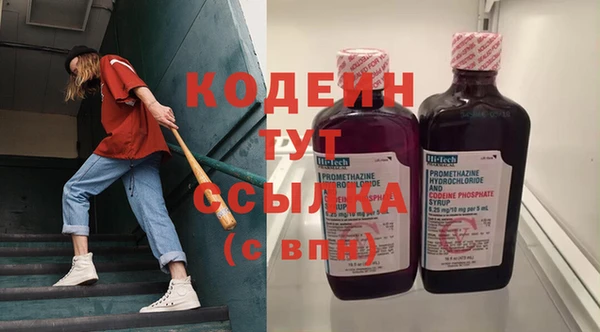молекула духа Киреевск